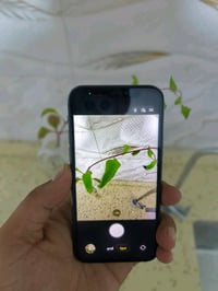 آيفون ١١ برو • ٢٥٦ • بطارية ٨٢٪