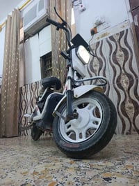 دراجة شحن • حجم ١٤ • بغداد الشعب