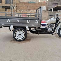 ستوته • ٢٠١٣ • شاصي مكفول