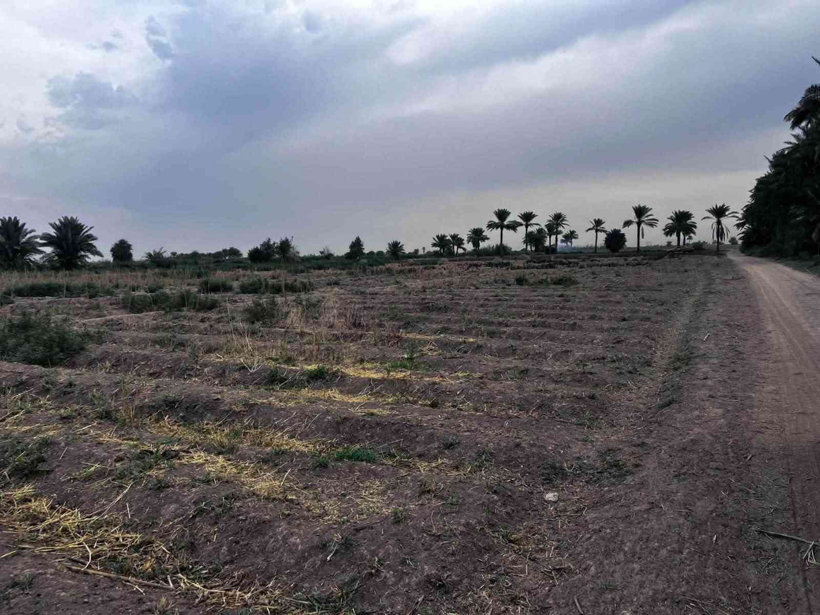 ٤٠ دونم • شاطيه • مياه كهرباء