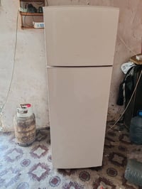 سبع البور • ١٧قدم • فول تجميد
