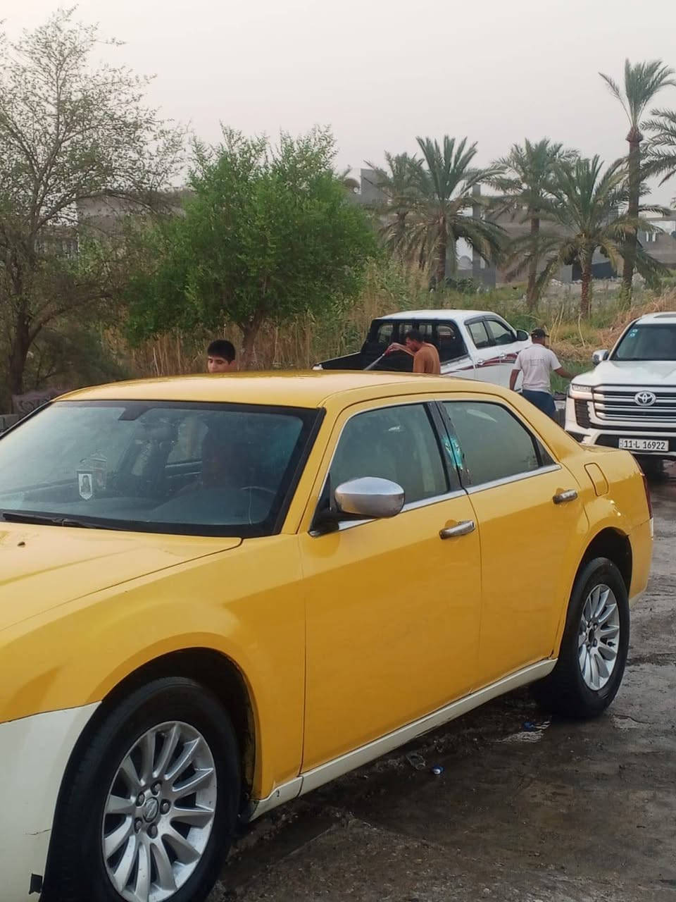 ه سلام عليكم أوباما كلايسر 2009اصل مكينه 3,500اصل مكينه كير كسن جدد حداديه صدر ليوم مسويهن كله جديد رقم نينوى مشروع وطني سنويه ل 2027 وين يعجبك احولك مصفره خط وبحث ومرور كله جاهزه سياره حادثه جاملغ خلفي بدون دواخل لغود شواصي مكفوله سعر 110وبيه مجال ترهم بيع او مراوس مكاني واسط الكوت ***********
