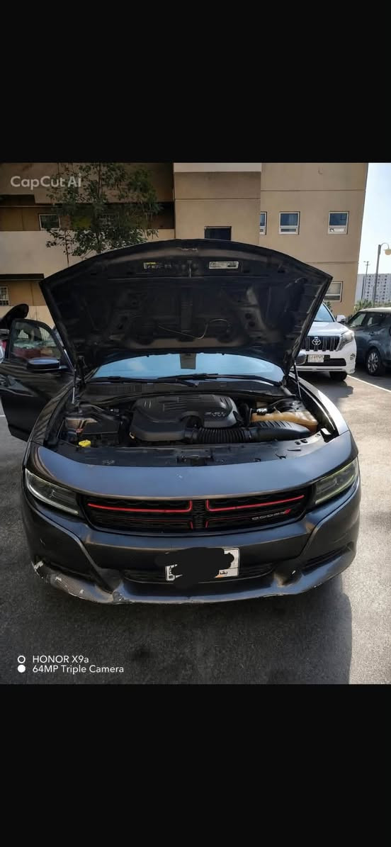 تشارجر SXT • ٢٠١٩ • باب خلفي مضروب