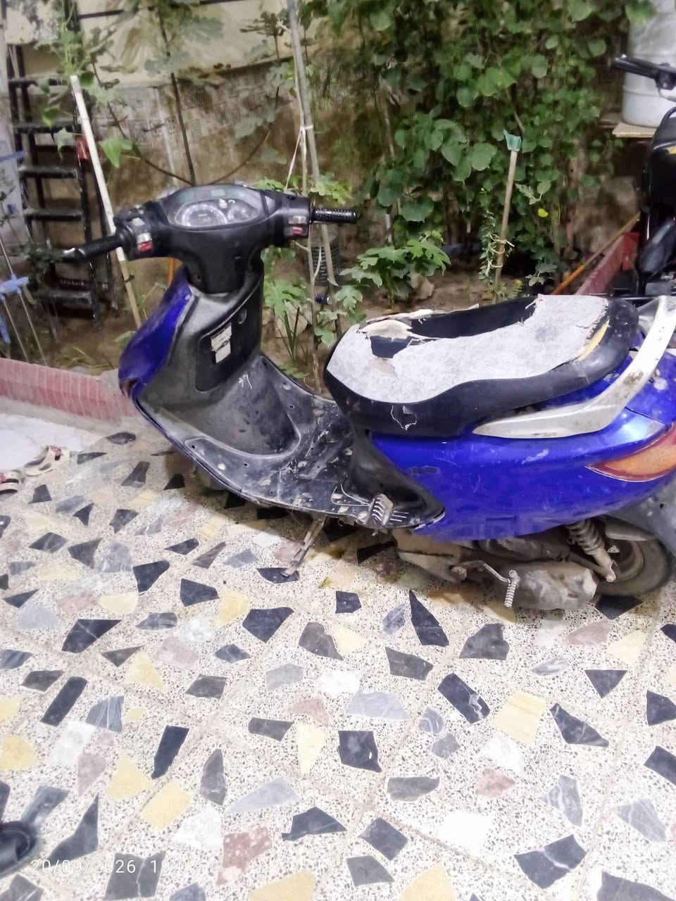 دراجه فراشه فحل للبيع السعر 350وبيه مجال المكان ميسان جمعيات حجي حسن الثانيه 
هاتف ***********

نص مكتوب في الصور:
- 20/09/2026 19:02