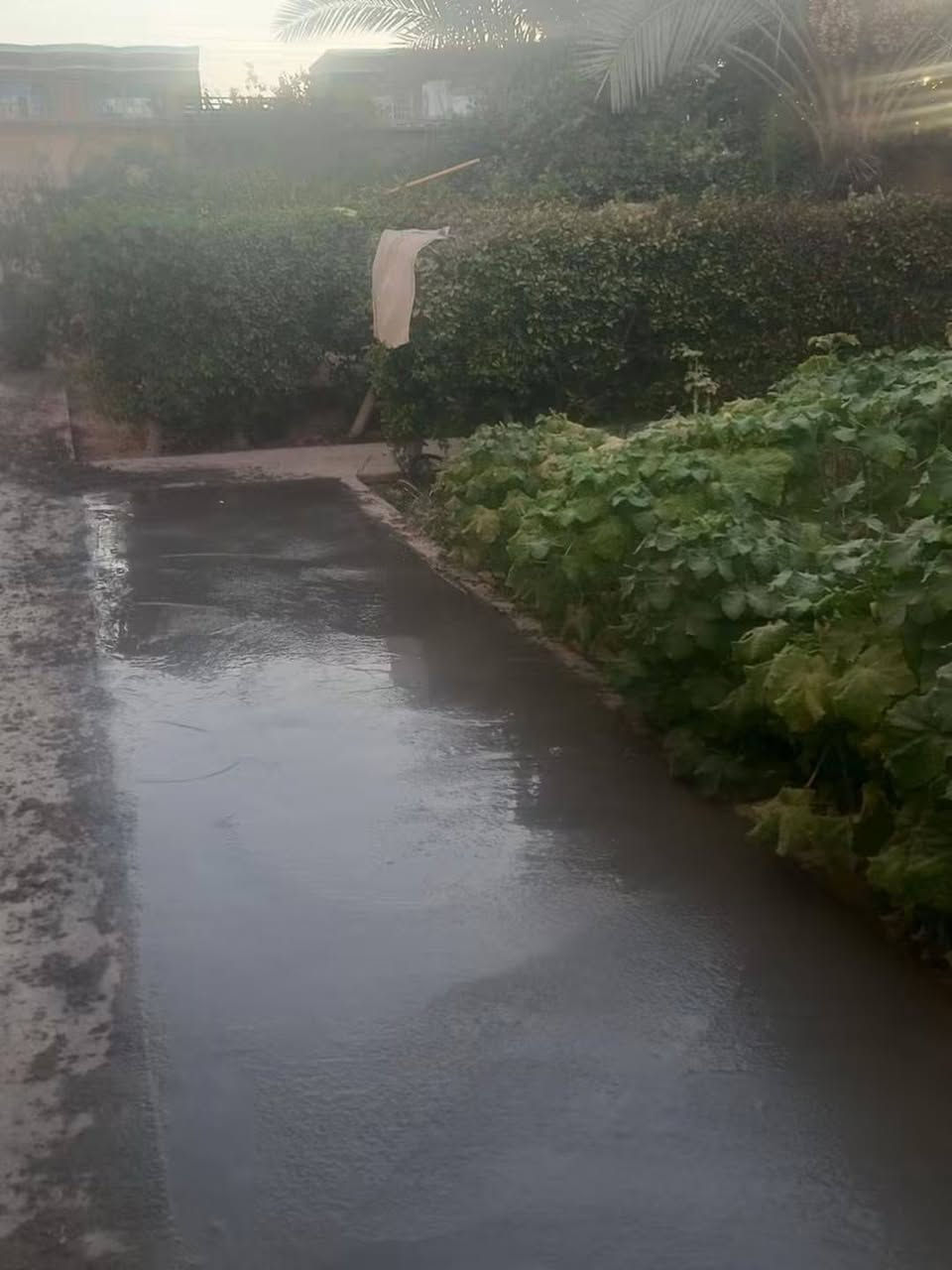 السلام عليكم
جزء من عملنه حفر رصف صب ناعم خشن 
صب حقول دواجن بيوت بيتونات صحيات خارجيه رباطات نكر صحيات 
الي يحب نصبله يتفضل خاص او تصال ***********
