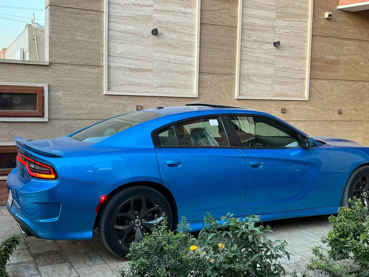 نسخة GT • ٣٦٠٠ • ٢٠١٩