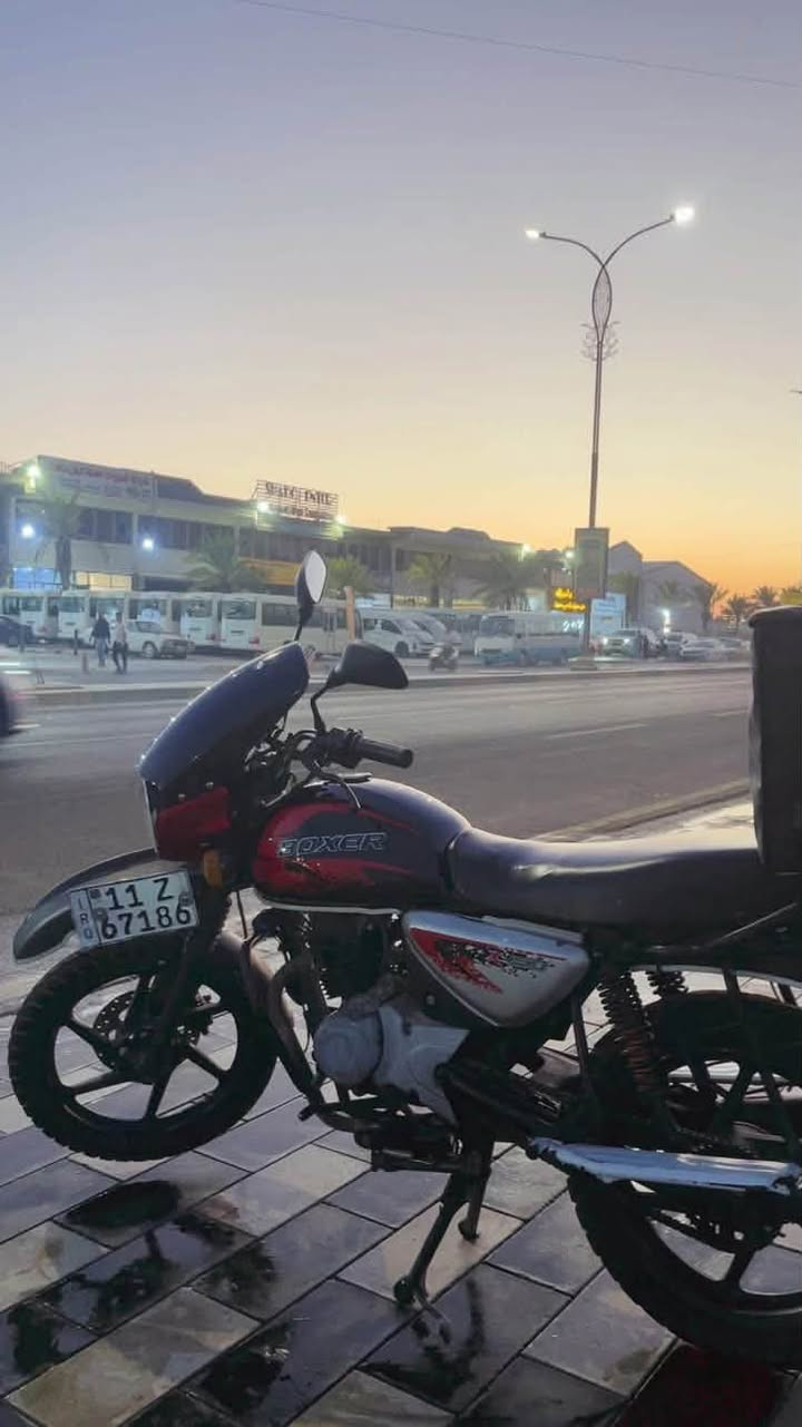 بوكسر • ٢٠٢٢ • سلف
