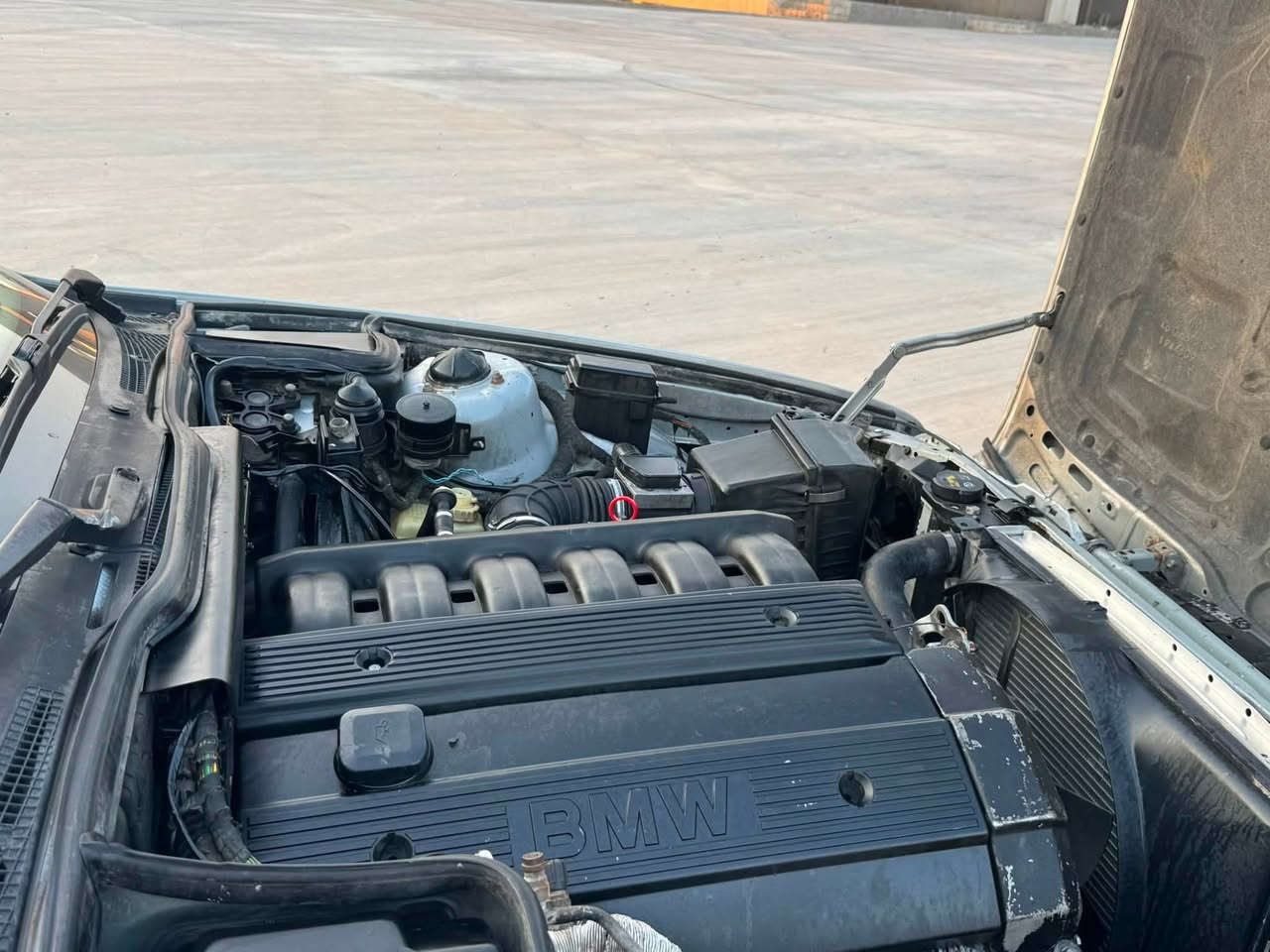 BMW
اصل و فصل 525 توماتيك
موديل 1992
سعر (49)
رقم اربيل سنويه جديد
تحويل او وكاله بشرط
مواصفات👇
سلايد 
تبريد
دواخل فورميك 
اربع جامات كهرباي
دواخل فورميك
ويلكب 15خليه
تخم خلفي امامي شادلهه جديد
كهربايات كلهه شغال
سياره مصبوغه عام للجماليه
اترايهه لل زاخو الي بصره
مكان ناحيه روفيا قريب من اربيل و موصل
***********
***********
واتساب فايبه ر موجود عل كورك
