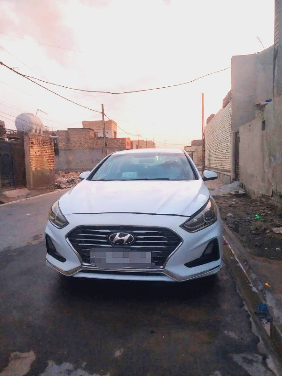 سوناتا • ٢٠١٨ • وارد أمريكي