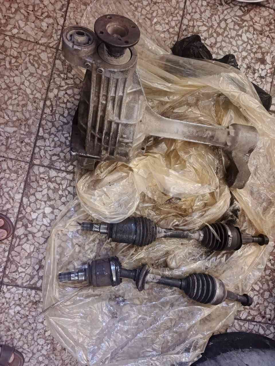 بافندر • وجه دشبول • بلكارتون