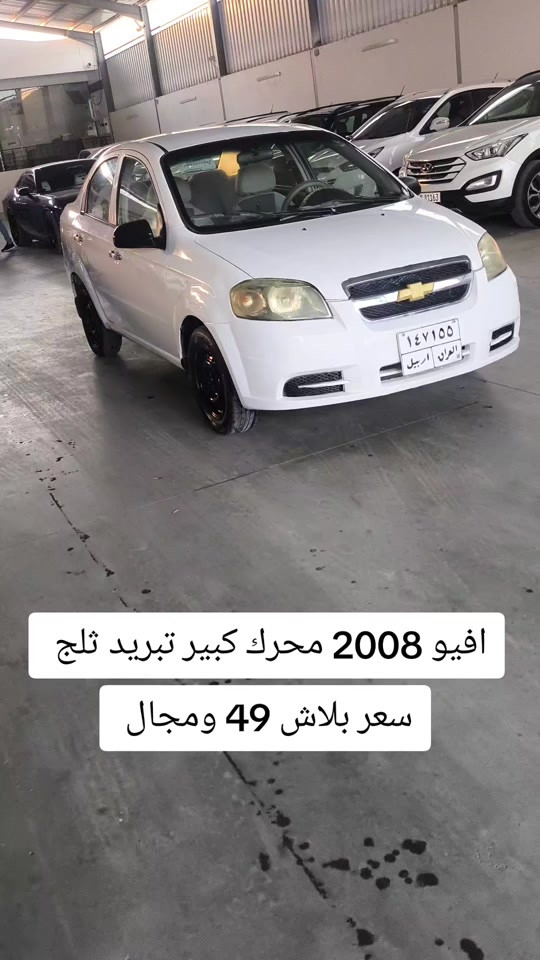 #***********  #عراق #العراق #البصرة #العراق🇮🇶 
