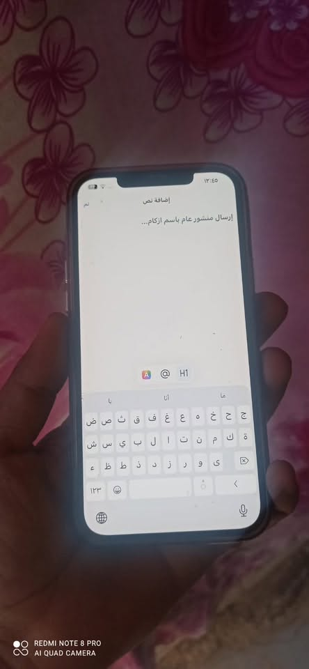 آيفون ١٢ برو ماكس • ٢٥٦ • ظهر مفطر