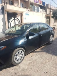 ٢٠١٩ • رقم اربيل • موصل الأيمن