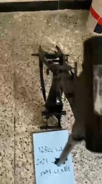 شاصي نامه • أوراق اصليه • ٢٠٢١