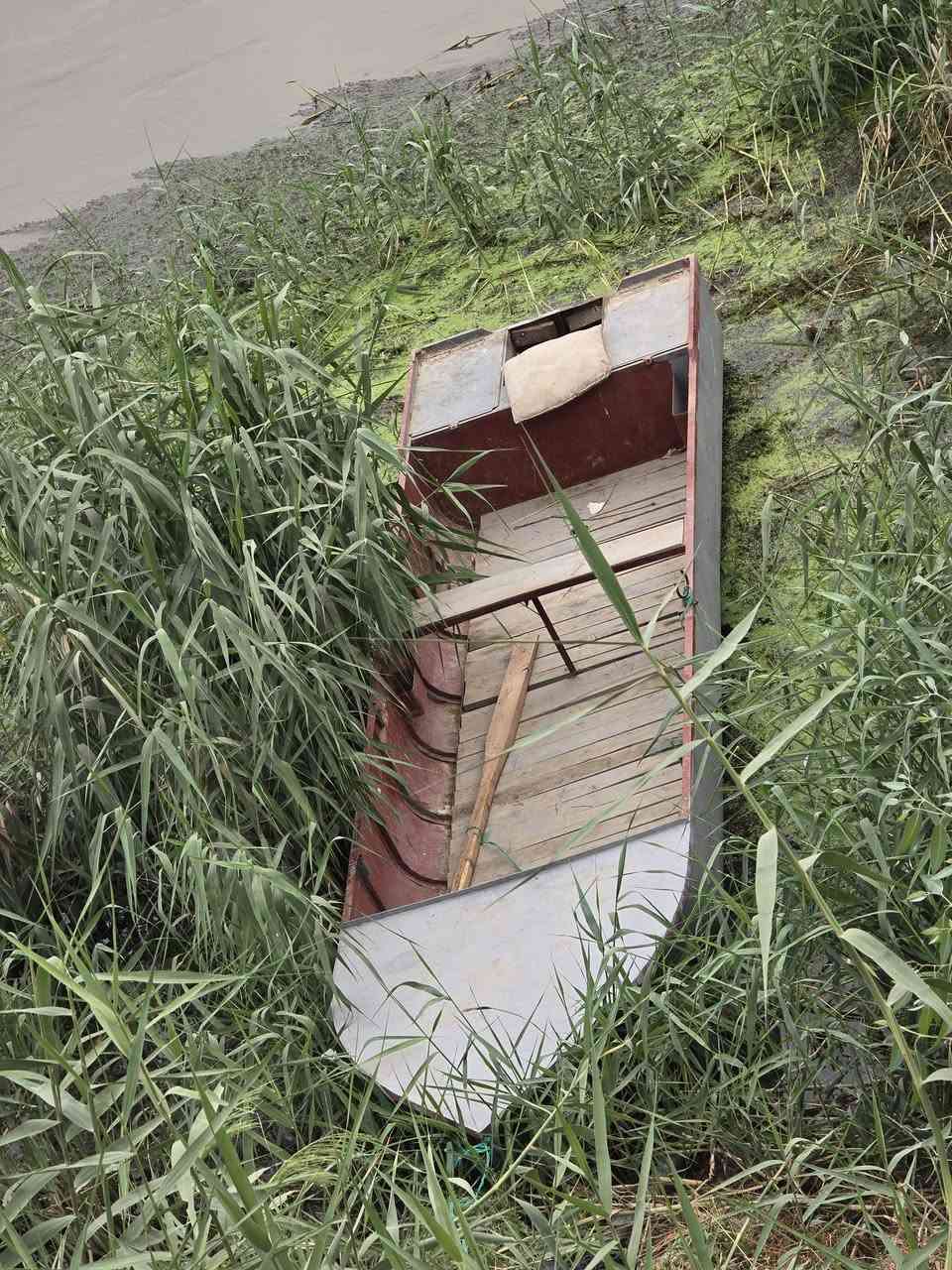 بلم حديد • ٥ ونص