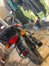 بوكسر • ٢٠٢٣ • اوراق