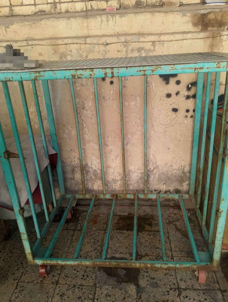 عربه حديد متحركه تايرات ارضيه قطعه سيم كامله ارتفاع 140 عرض 140 نزال90 مكاني مدينه الصدر قطاع 3
عربه حديد متحركه تايرات ارضيه قطعه سيم كامله ارتفاع 140 عرض 140 نزال90 مكاني مدينه الصدر قطاع 3 
***********
