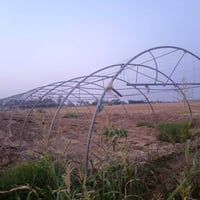 بيوت زجاجيه • ردني • حله جبله