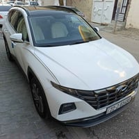 توكسان • ٢٠٢٤ • رقم اربيل