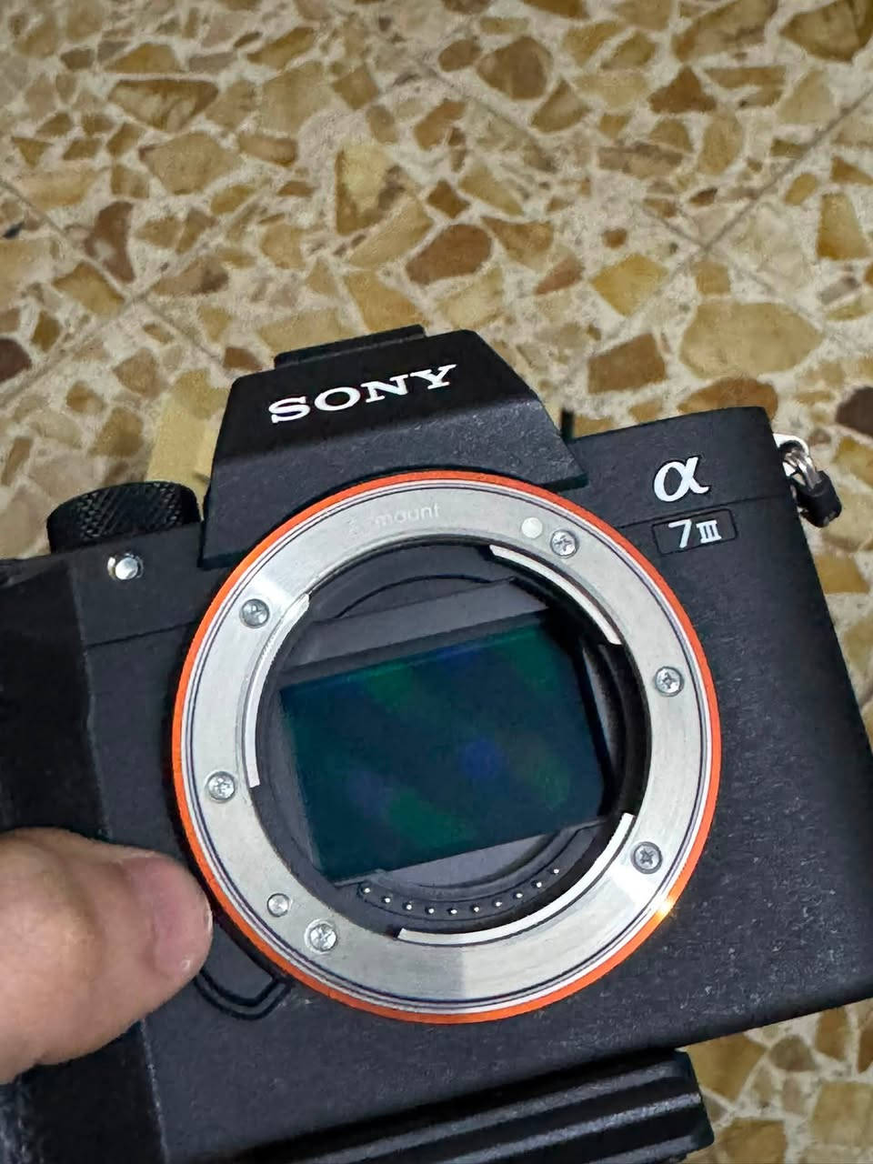 Sony Alpha 7iii + Sony 50mm 1.8f
كامرة  جدا جدا نضيفه شخط ما بيها حالها حال جديدة و بالعافية على الي ياخذها

شتر مالتها اقل 1500

عدسة نضيفه جدا مع كامل ملحقاتها

كراتين و كتلوكات كلها موجودة بالاضافه الى بطاريتها الاصلية و كذالك بطارية ثانية جديدة شاحنها مره وحدة بس من kf concebt

للاستفسار واتساب او اتصال 

+964 789 000 1428

