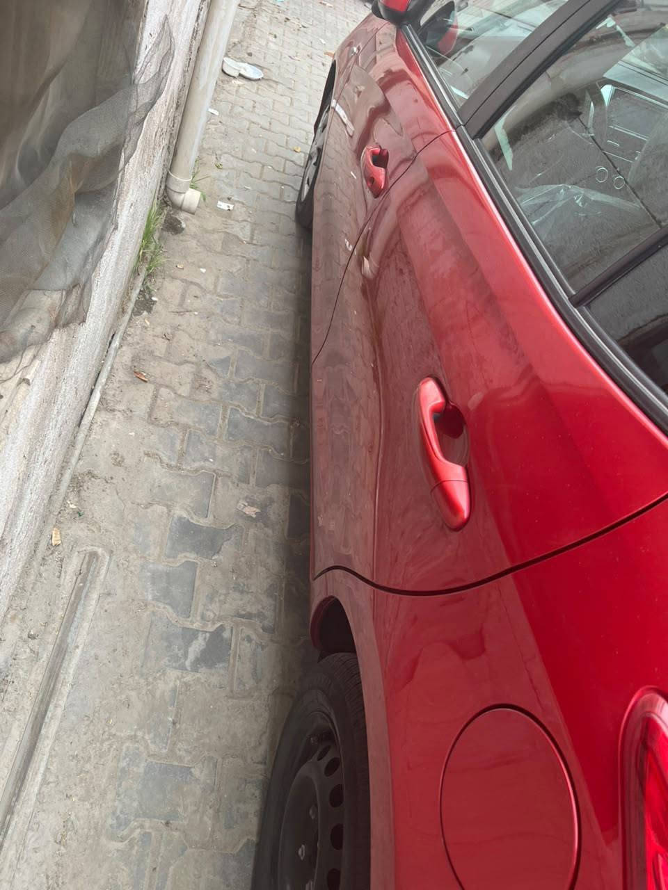 يارس • ٢٠١٩ • رقم اربيل