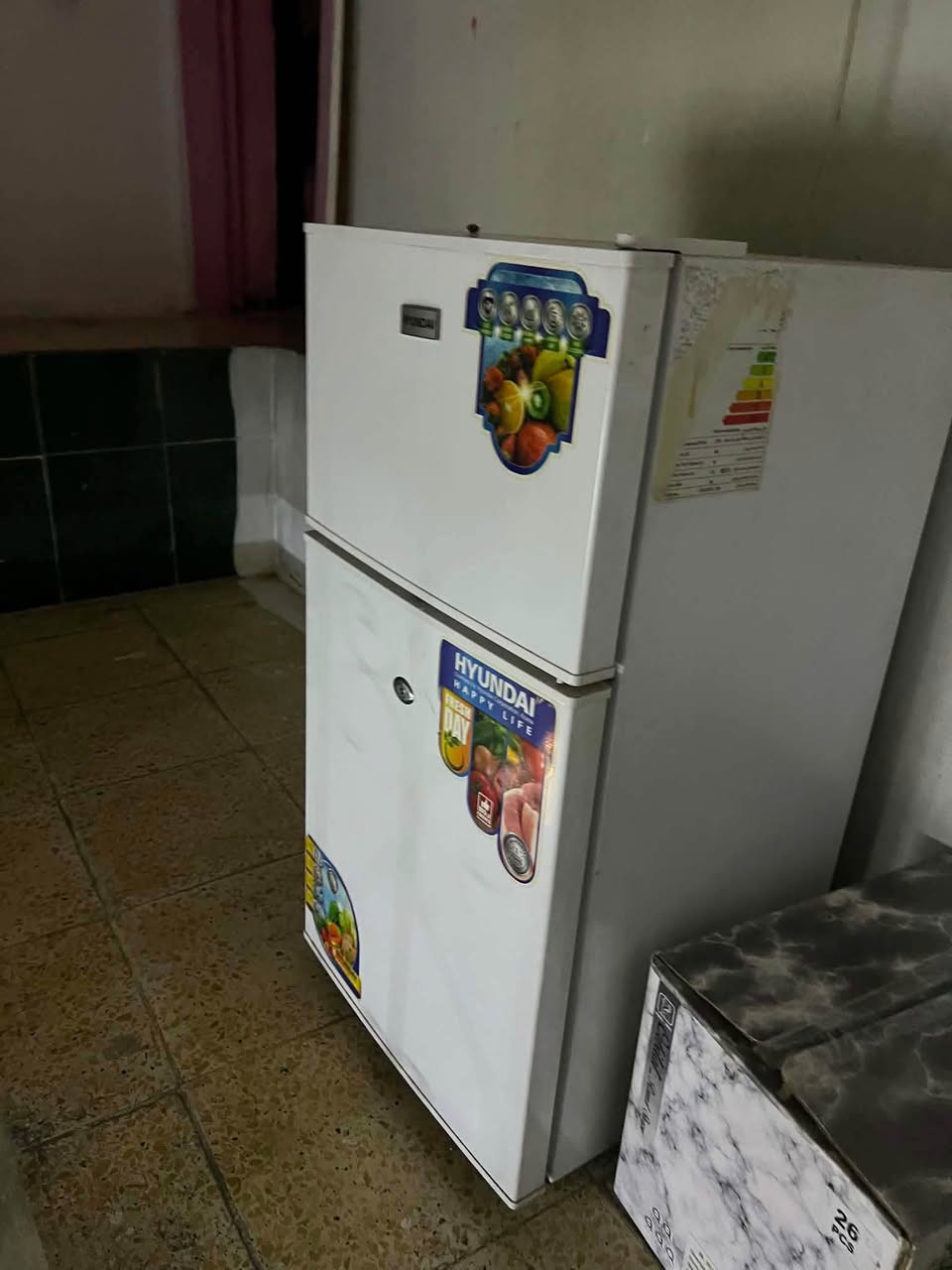 3 عارضات صغيره للبيع كلهن 450 للاستفسار *********** بغداد, العراق
