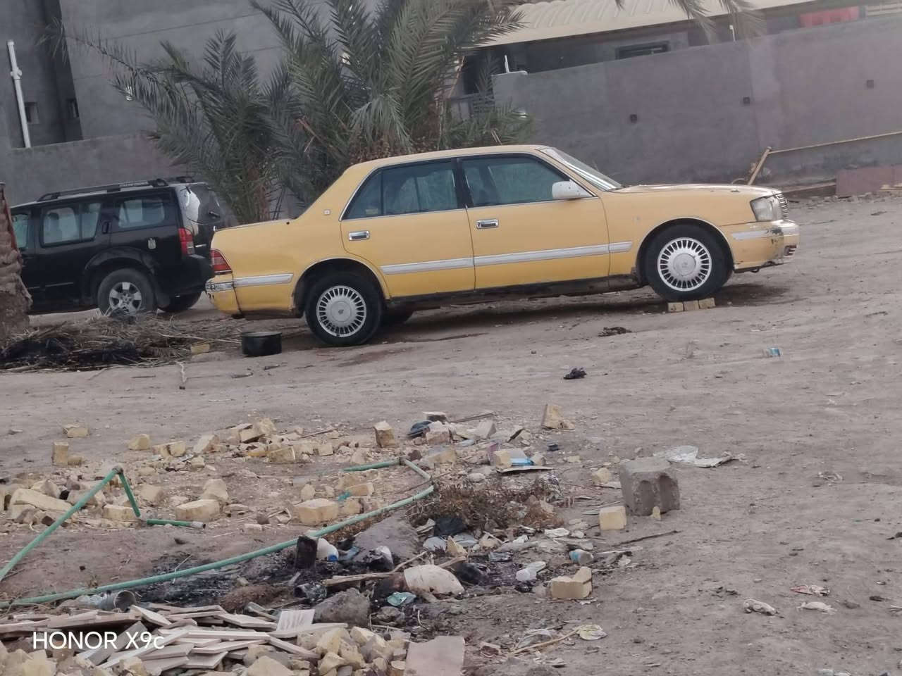 للبيع راس الثور أو مراوس #***********
