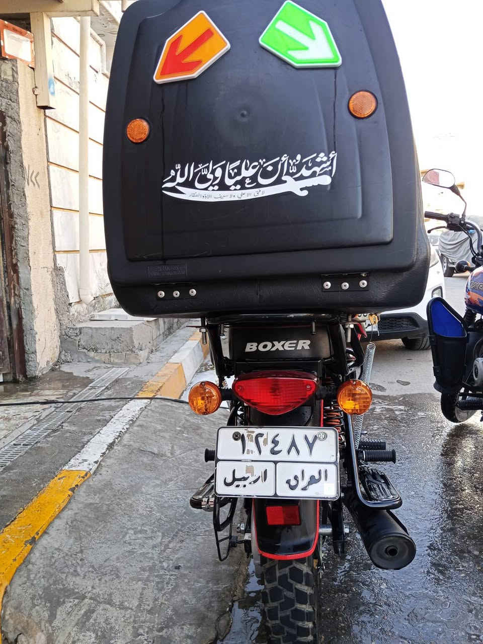 بوكسر • جبلي • اربيل