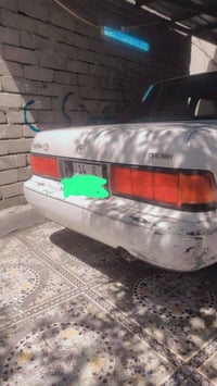 كراون ارنب • ١٩٩٤ • بصره