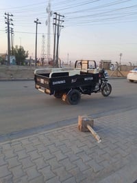 ستوته • فحل • موديل ٢١