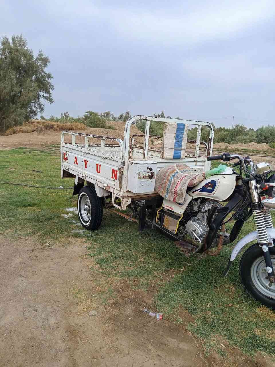 السلام عليكم ستوته للبيع موديل 21وكيل مكينه جديده اكسن لطش رقمي*********** السعر خاص
