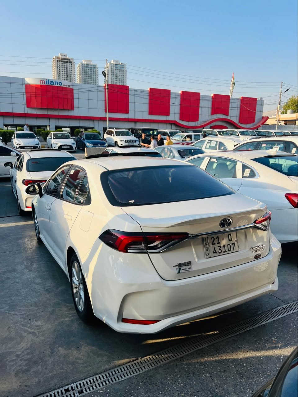 Toyota crolla 2024 hybrid
ژێر دەعامی پێشەوە بۆیاخە شوخت بوە خۆم بۆیاخم کردوە 
٣٨ هەزار رۆشتوە ٢ شوختی بەسیتی هەیە
***********
تەحویل وەکالەت خرامە بە شەرت بە ناوی خۆمەوەیە السليمانية, العراق
