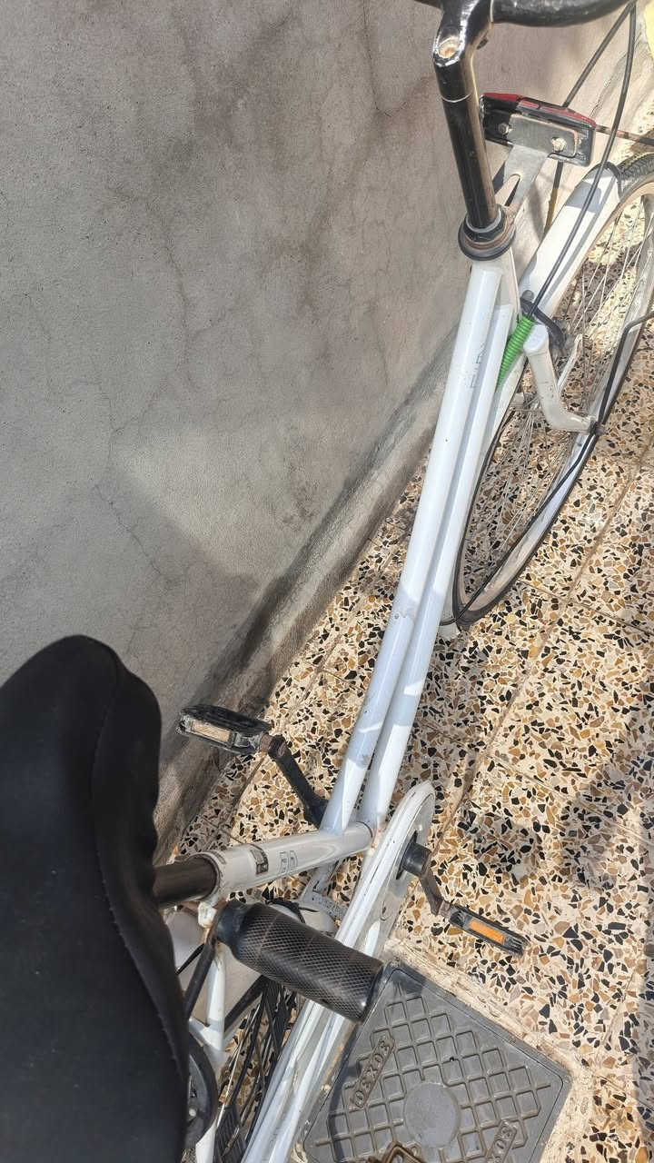 باسكل • بيدي • موديل ١٨