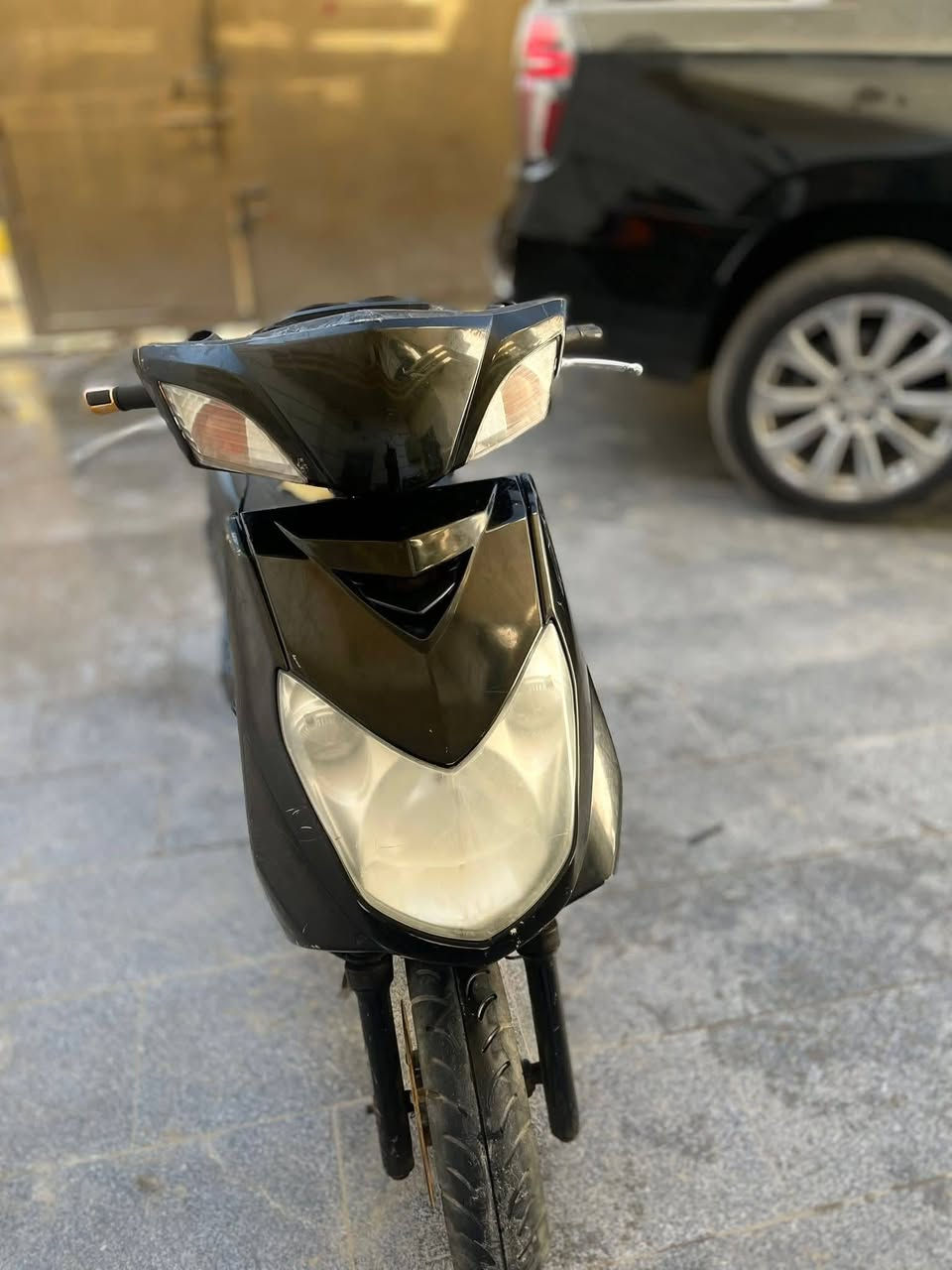 للبيع سكنس فحل ياباني مجفته مره وحده سعر 450وبيها مجال قليل الاستفسار ***********

