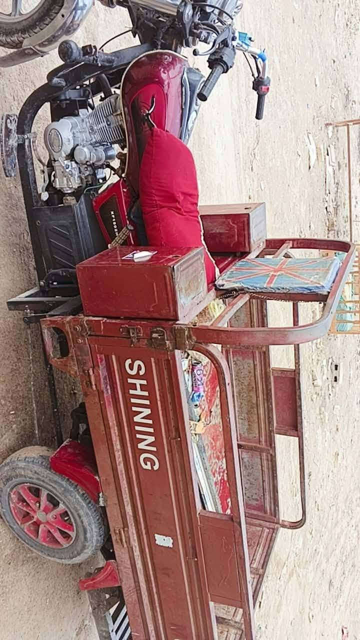 ستوته • ٢٠١٦ • شاصي مكفول