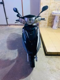 بريز بغبغاء • سكليتر • كامله