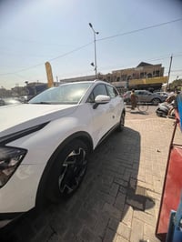 سبورتج • ٢٠٢٣ • صبغ فقط