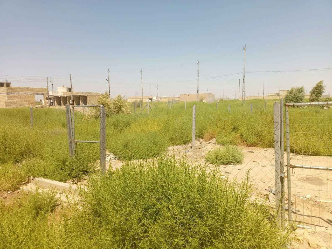 بوب الشام • ١٠٠م • سند ٢٥