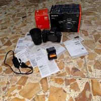سوني A7III • عدسة 50مم ١.٨ • نضيفه