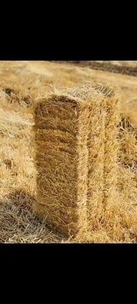 مرجوحه • النعمانيه • مسفوط