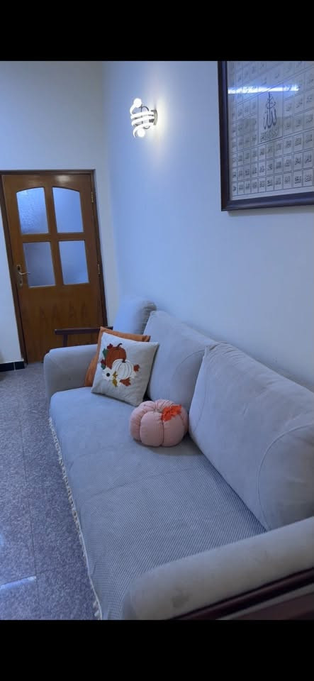 تخم • بغداد البلديات