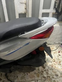 بريز ببغاء • كفالة • ناعمة