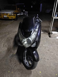 ماجستا اس • نفخ • زنجيل