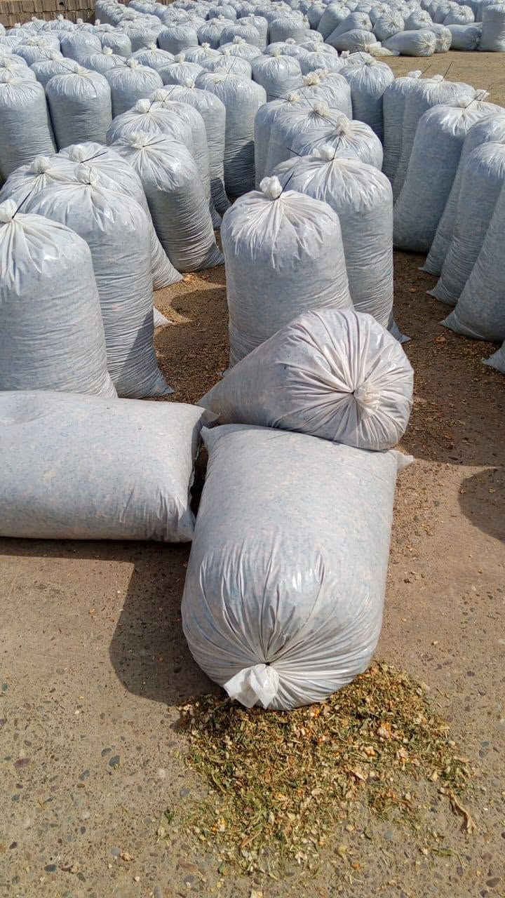 تم تجهيز طلبيات سيلاج الذرة عالي
الجودة للاخوانا في محافظاتنا العراقيه لهذا اليوم بتاريخ3/10/2026 🌾
​تعلن [مكتب وادارة ابو سجاد ] عن توفر سيلاج ذرة ممتاز بأعلى المواصفات والقيم الغذائية، بنسبة حبوب عالية  الجودة والنظافة لفترات طويلة. يساهم منتجنا بشكل مباشر في زيادة إنتاج الحليب واللحم مع توفير ممتاز في تكاليف الأعلاف. نوفر كميات جملة ومفرد بموازين دقيقة مع خدمة التوصيل والتحميل المباشر إلى جميع المحافظات  لجميع المزارعين ومربي الحلال.
📞 للحجز والاستفسار: ***********
***********
