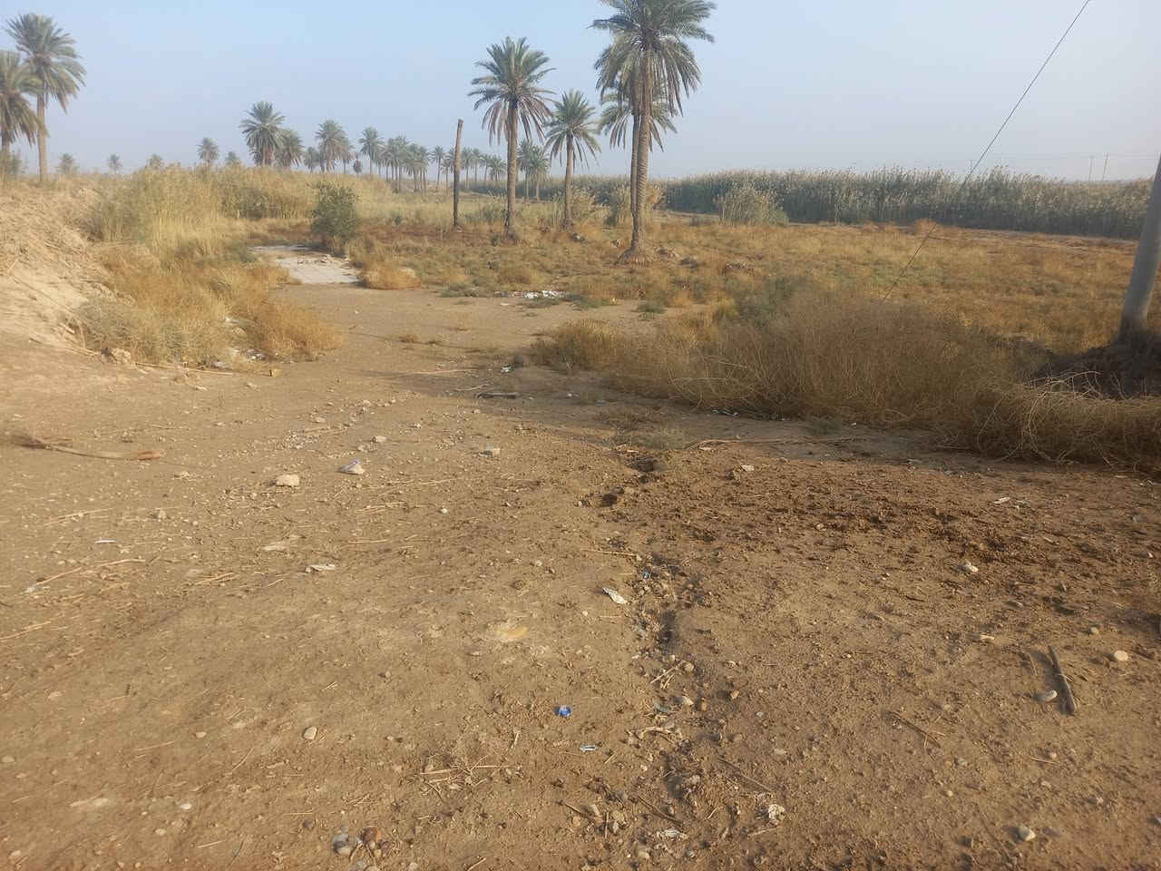 تل صخير • ٢١دونم ونص • واجهة ١٧٦