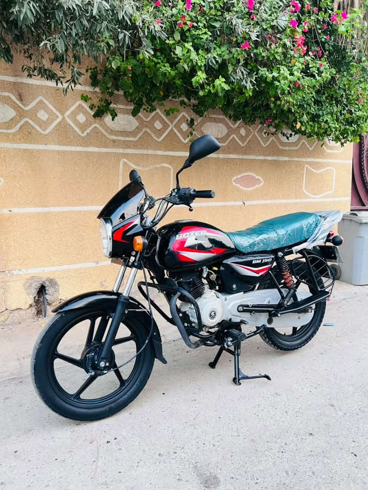 بوكسر • ٢٠٢٢ • كفاله عامه