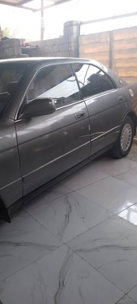 بطة • ١٩٩٢ • ميسان