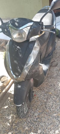 جونده • مراوس • حله