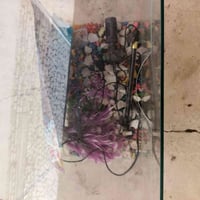 حوض سمك • ماطور • حصى ملون