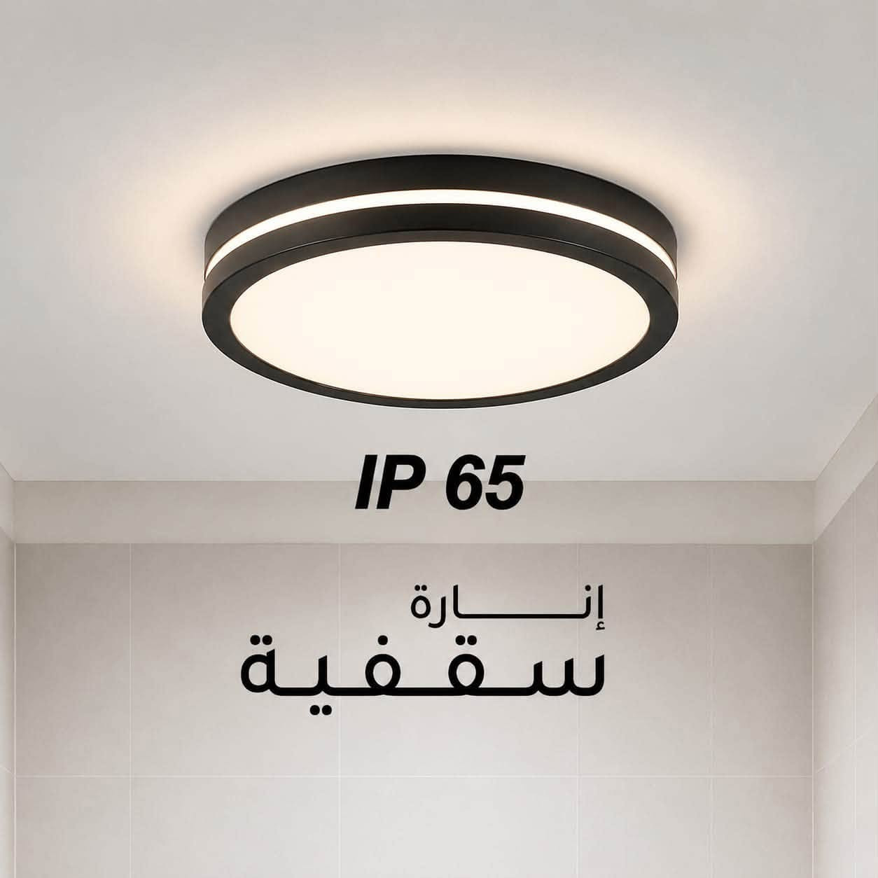 انلوكس • إنارة سقفية • IP65